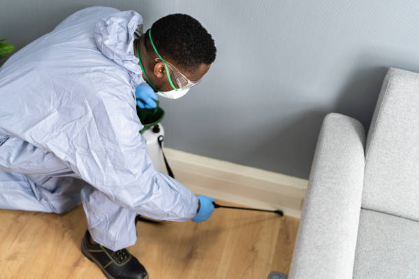 Professional Pest Control in Penbrook, PA